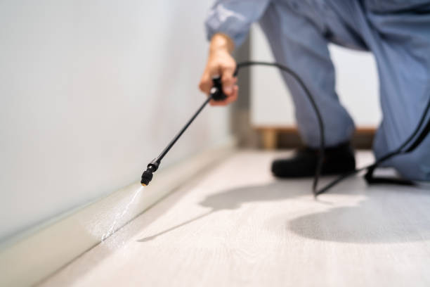 Licensed Pest Control service in Kingsville, MD - Show Me Pest Control